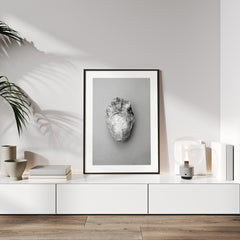 Oyster 1 | FRAMED PRINT