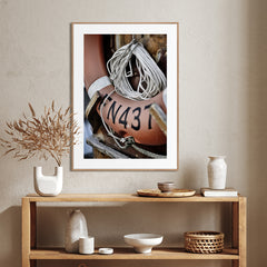 Lifebuoy | FRAMED PRINT