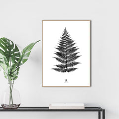 Fern black | FRAMED PRINT