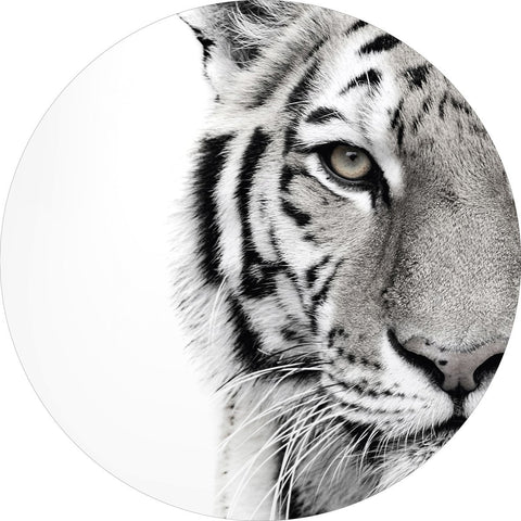 White tiger | CIRCLE ART