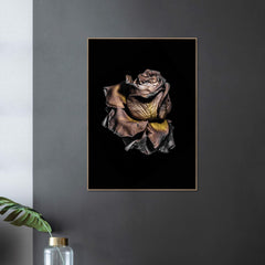 Metallic Rose | FRAMED PRINT