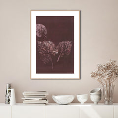 Pure Nature 5 | FRAMED PRINT