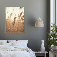 Reed 3 | FRAMED PRINT
