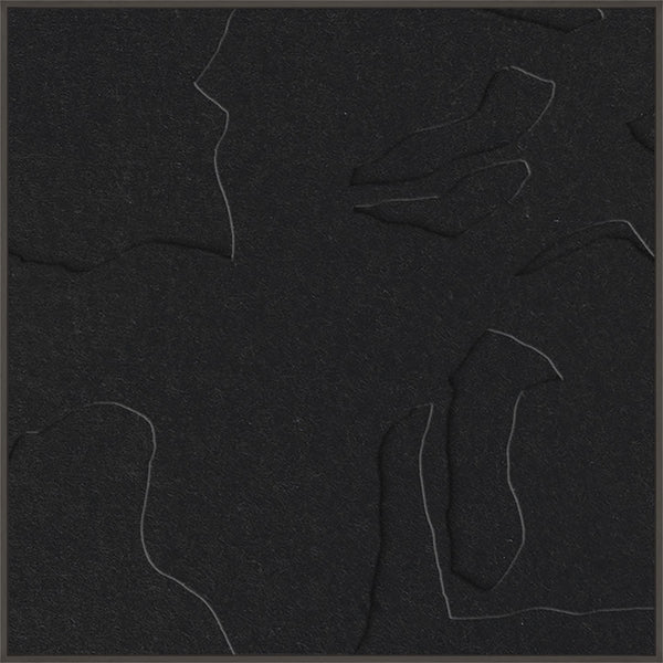 Silent Shadow square 1 | ACOUSTIC ART