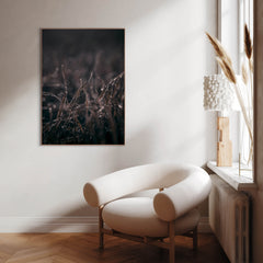 Spec. Mellow grasses 5 | Poster Board (SP) | Colli 4