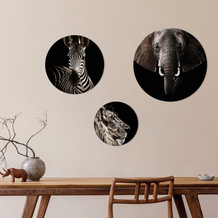 Animals | Circle Art Set (SP) | Colli 5