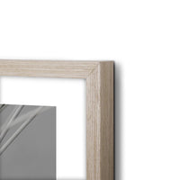 Oak frame / 40x50 / 8 pcs box