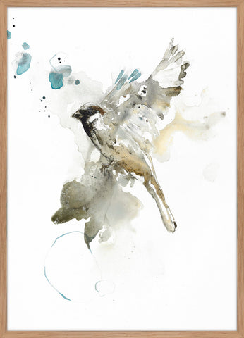 MI Bird 1 | Poster (SP) | Colli 4