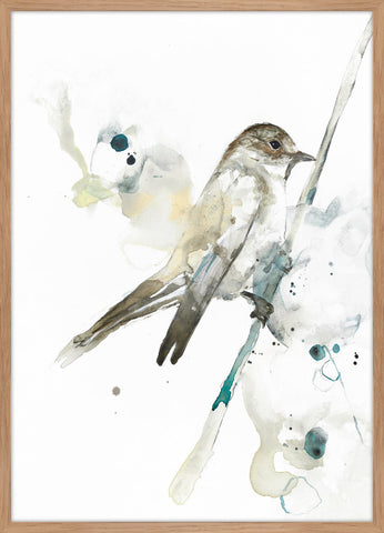 MI Bird 2 | Poster (SP) | Colli 4