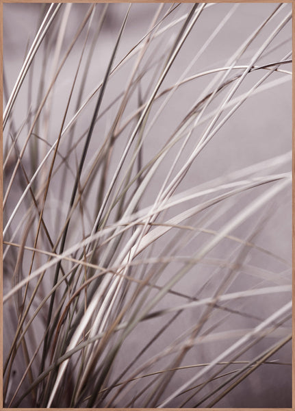 Spec. Mellow grasses 1 | Poster Board (SP) | Colli 4