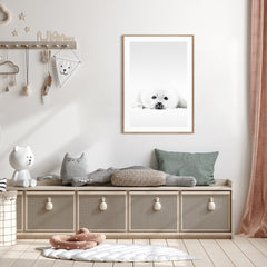White Seal | FRAMED PRINT