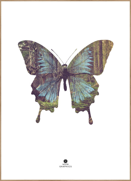 Butterfly | FRAMED PRINT