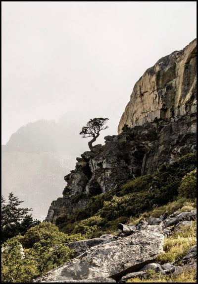 Highland | FRAMED PRINT