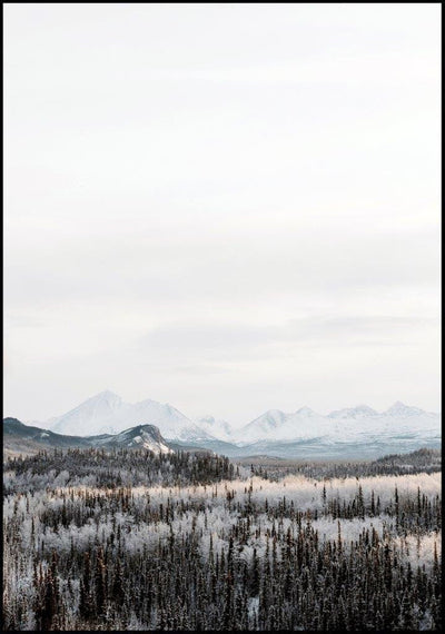 Woodland | FRAMED PRINT