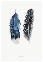 Indian Feather | FRAMED PRINT