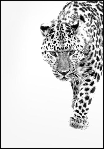White Leopard | FRAMED PRINT