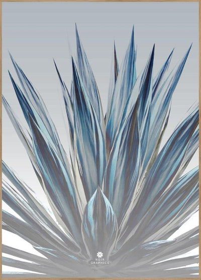 Sansevieria | FRAMED PRINT
