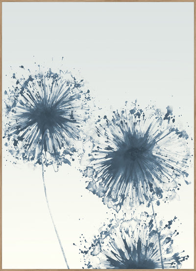 Dandelions 3 | FRAMED PRINT