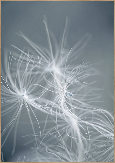 Dream weaver blue | FRAMED PRINT