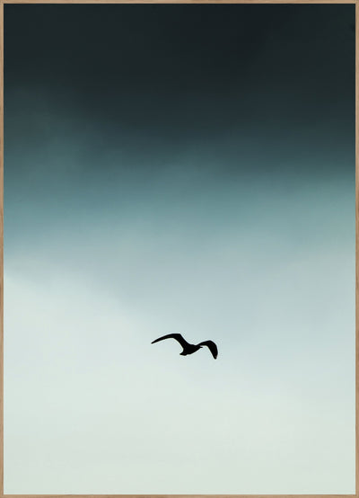 Seagul blue | FRAMED PRINT