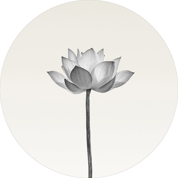 Lotus | CIRCLE ART