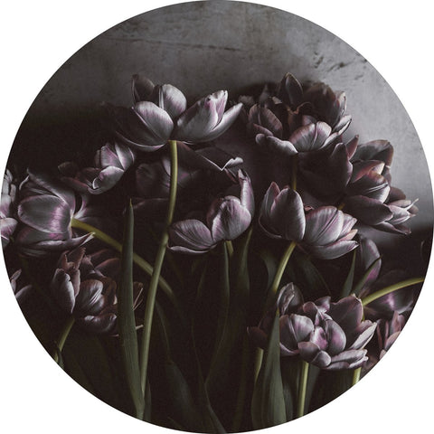 Dark tulips | CIRCLE ART