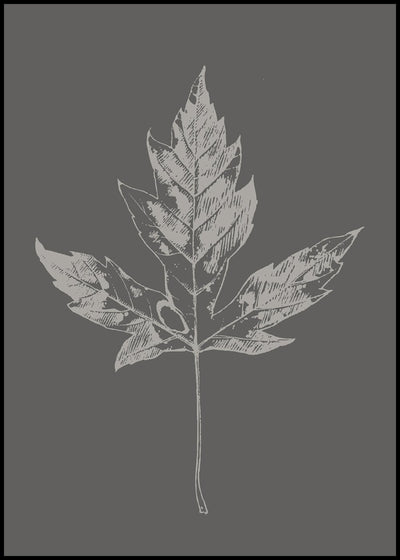 Botanica-5 | FRAMED PRINT