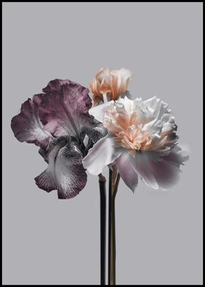 Virtue 1 | FRAMED PRINT
