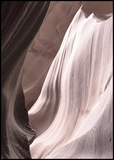 Antelope 4 | FRAMED PRINT