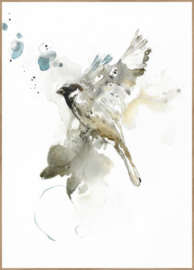 Bird 1 | FRAMED PRINT