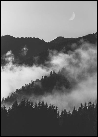 Bishop 19 | FRAMED PRINT