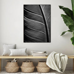 Black feather | FRAMED PRINT