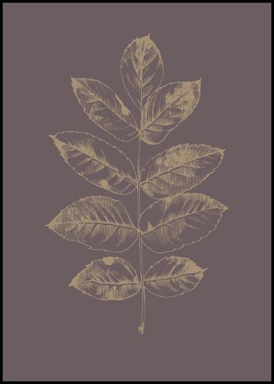Botanica-2 | FRAMED PRINT