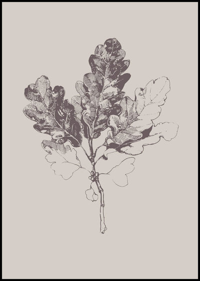Botanica-3 | FRAMED PRINT