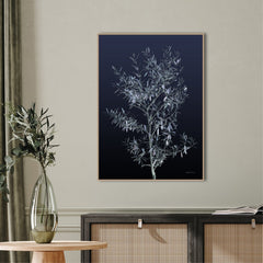 Black Olive | FRAMED PRINT