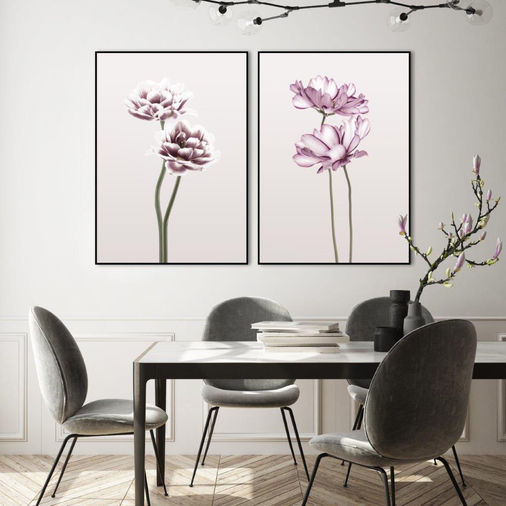 Cosmos 1 | FRAMED PRINT