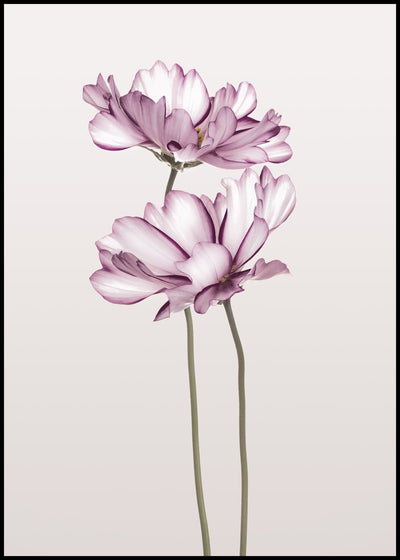 Cosmos 2 | FRAMED PRINT