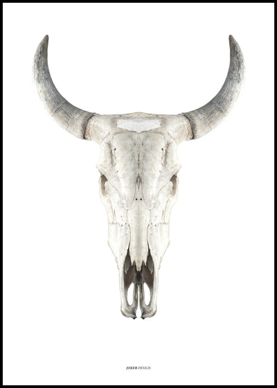 Cow skull | FRAMED PRINT