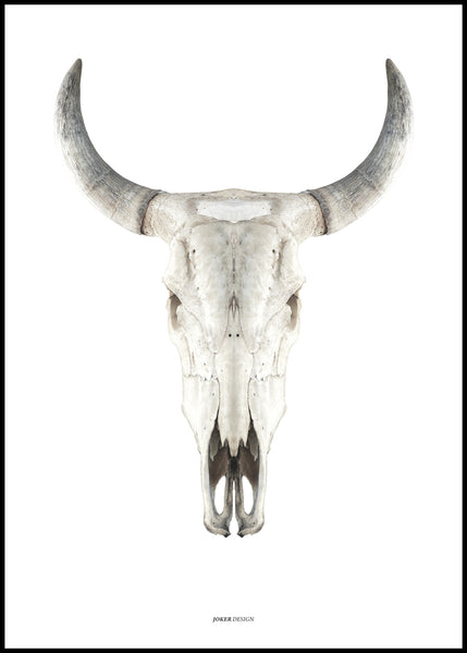 Cow skull | FRAMED PRINT