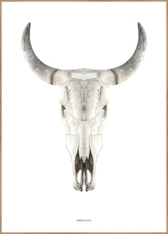 Cow skull | FRAMED PRINT