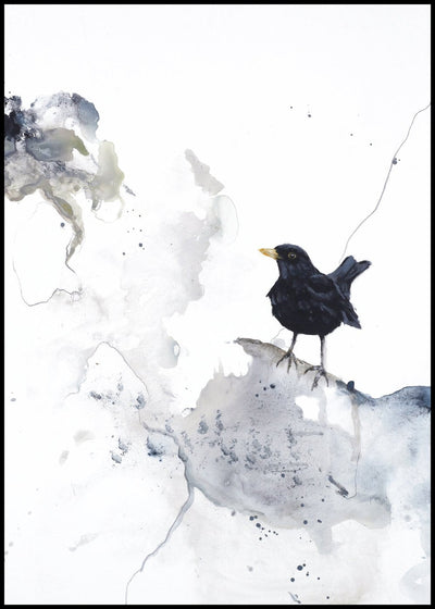 Curiosity 2 | FRAMED PRINT