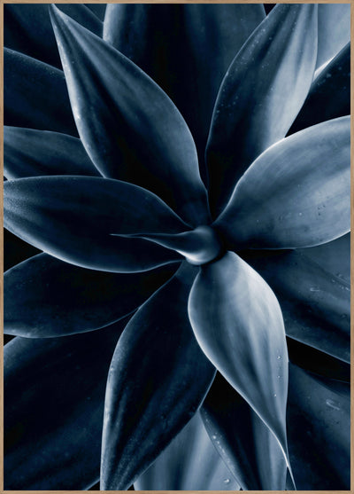 Dark plant 1 | FRAMED PRINT