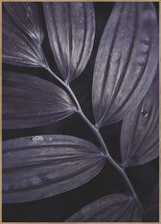 Dark plant 3 | FRAMED PRINT