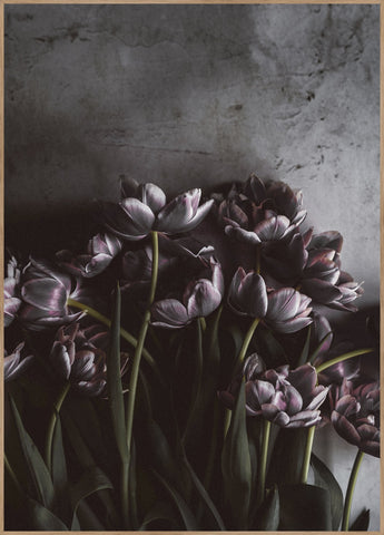 Dark tulips | FRAMED PRINT
