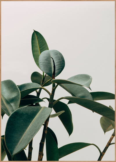 Ecologique | FRAMED PRINT