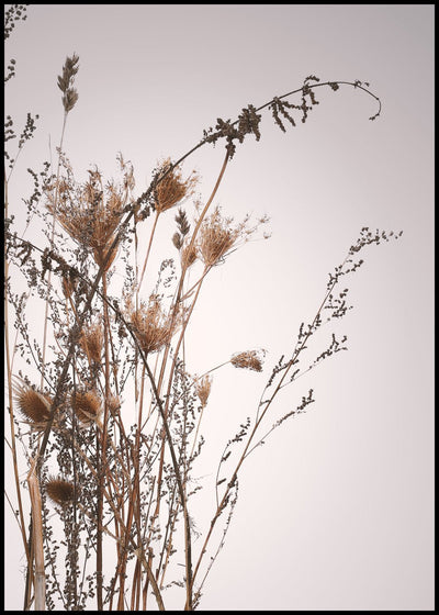 Everlasting | FRAMED PRINT