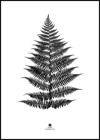 Fern black | FRAMED PRINT