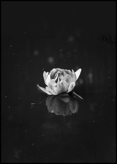 Floating 2 | FRAMED PRINT