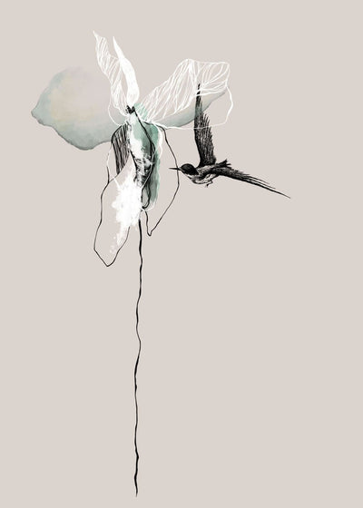Flower | FRAMED PRINT