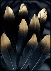 Golden feather | FRAMED PRINT